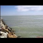 Non-un-pericolo-se-lo-si-vede.jpg<br>90.72 KB