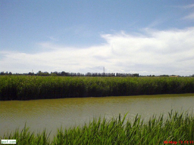 Revedoli-marrone.jpg