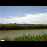 Revedoli-marrone.jpg<br>80.14 KB