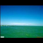 Telefonino-crea-colori-che-vuole-lui.jpg<br>88.26 KB