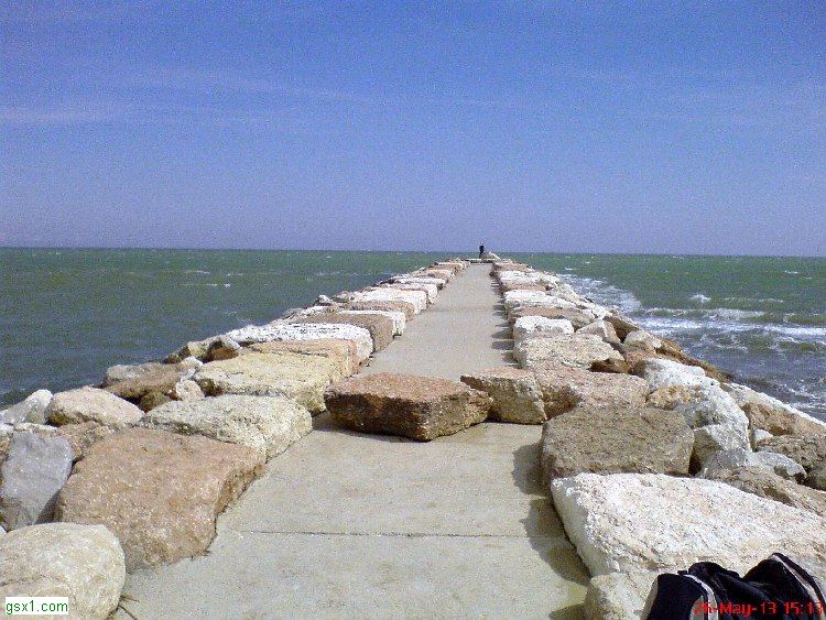 Il-perche-vengo-qui.jpg