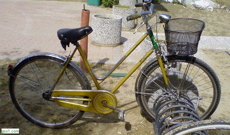 bicicletta-da-donna-rh.jpg