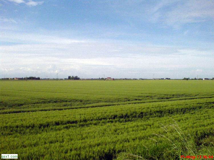Campagne-di-Eraclea.jpg