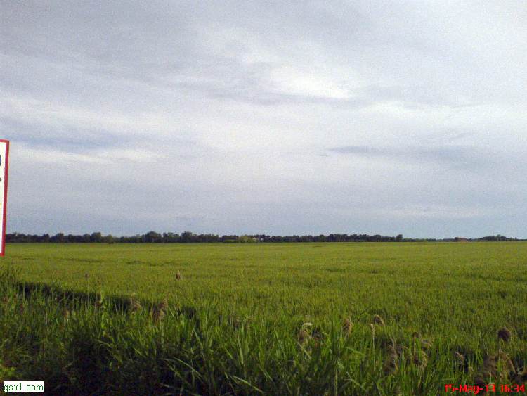 Distesa-Verde.jpg