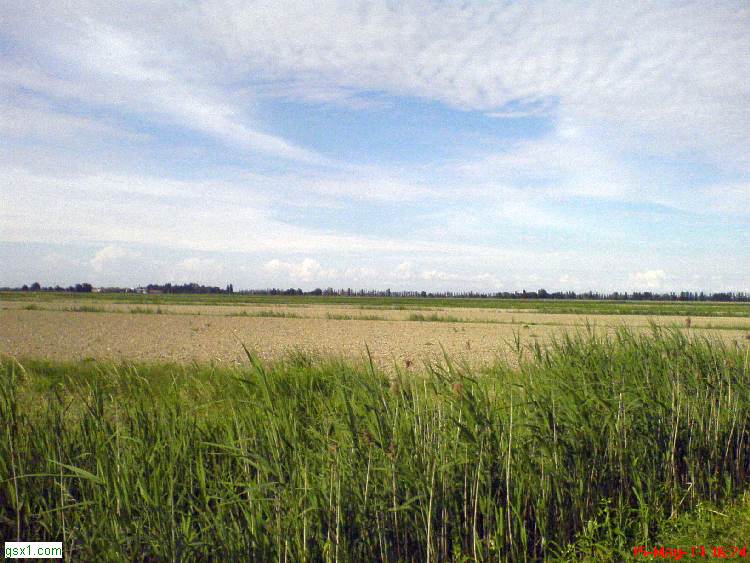 Distesa-di-spazio.jpg