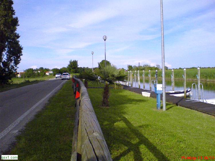 Mini-Palme-in-Darsena.jpg