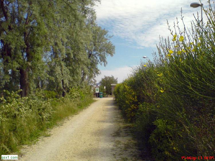 Parallela-a-Pedonale-Arrivo-in-Spiaggia.jpg