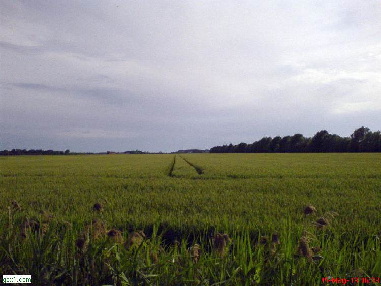Passaggio-Di-Trattore.jpg