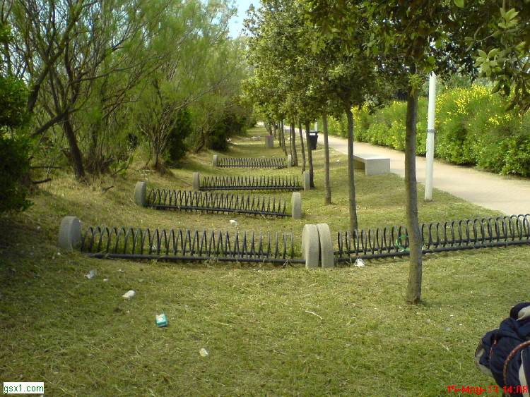Porta-Biciclette-ad-Eraclea-Mare.jpg