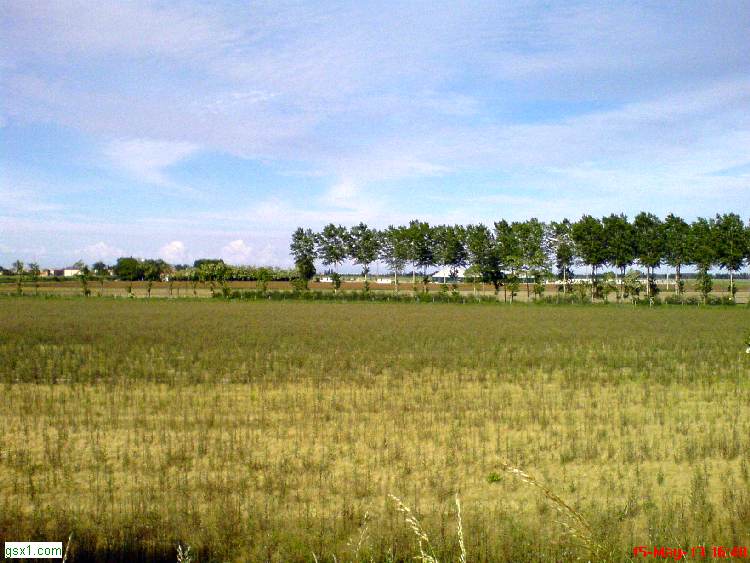 Spazi-Aperti-Eraclea.jpg