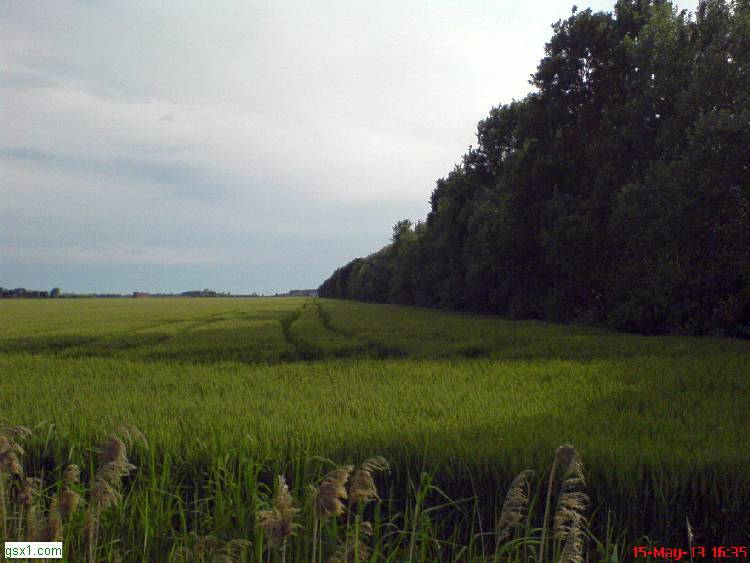 Traccia-di-Trattore.jpg