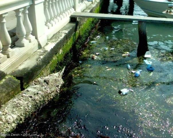 Real-Dirty-Venice-Water.jpg